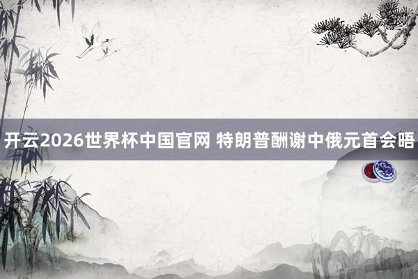 开云2026世界杯中国官网 特朗普酬谢中俄元首会晤
