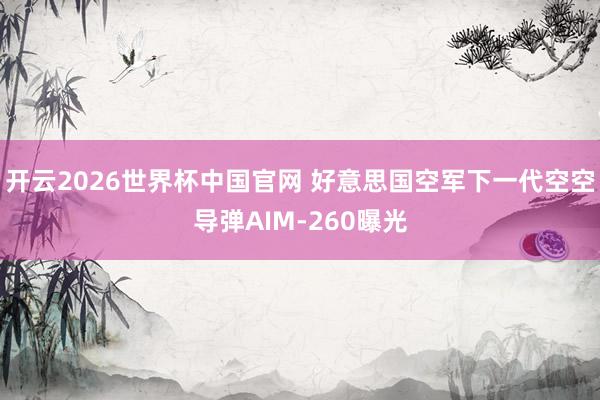开云2026世界杯中国官网 好意思国空军下一代空空导弹AIM-260曝光
