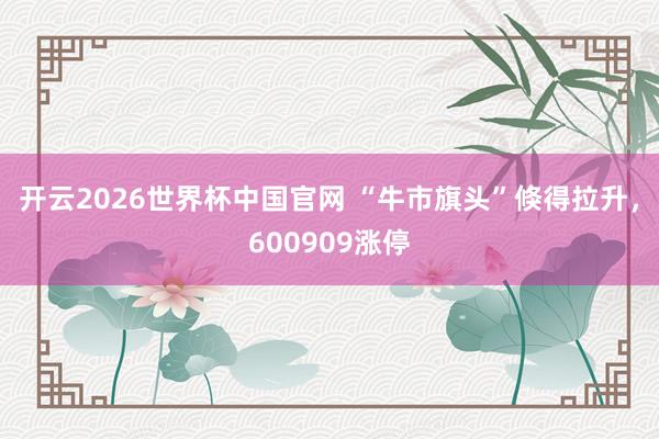 开云2026世界杯中国官网 “牛市旗头”倏得拉升，600909涨停