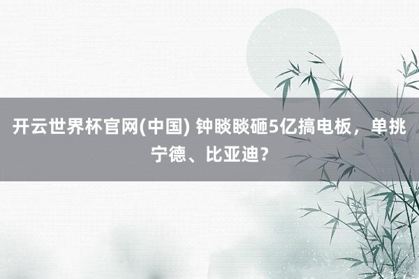开云世界杯官网(中国) 钟睒睒砸5亿搞电板,单挑宁德、比亚迪?