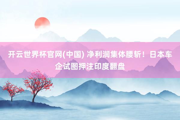 开云世界杯官网(中国) 净利润集体腰斩!日本车企试图押注印度翻盘