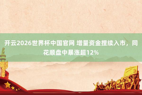 开云2026世界杯中国官网 增量资金捏续入市，同花顺盘中暴涨超12%