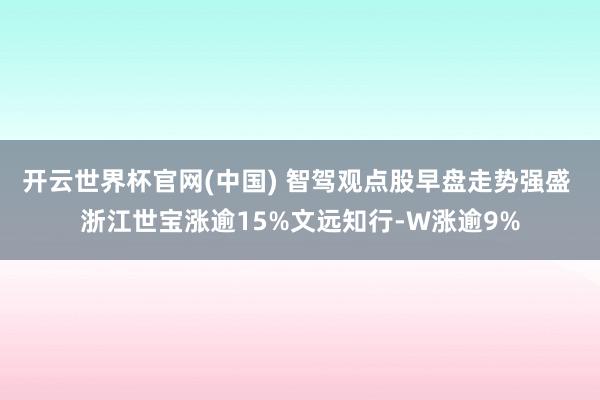 开云世界杯官网(中国) 智驾观点股早盘走势强盛 浙江世宝涨逾15%文远知行-W涨逾9%