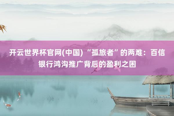 开云世界杯官网(中国) “孤旅者”的两难:百信银行鸿沟推广背后的盈利之困