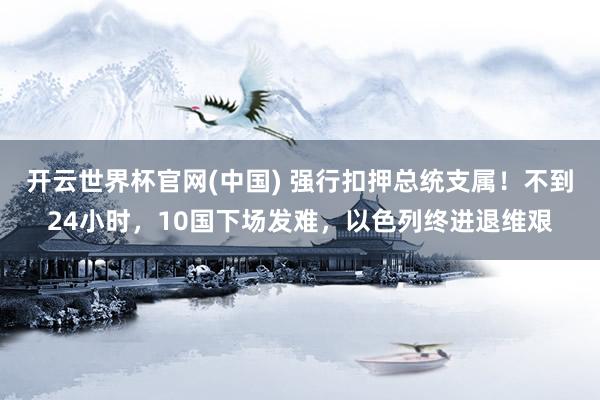 开云世界杯官网(中国) 强行扣押总统支属！不到24小时，10国下场发难，以色列终进退维艰