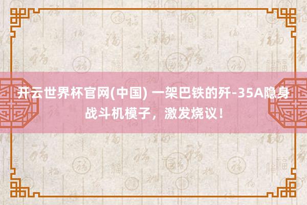 开云世界杯官网(中国) 一架巴铁的歼-35A隐身战斗机模子，激发烧议！