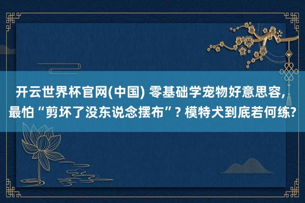 开云世界杯官网(中国) 零基础学宠物好意思容, 最怕“剪坏了没东说念摆布”? 模特犬到底若何练?