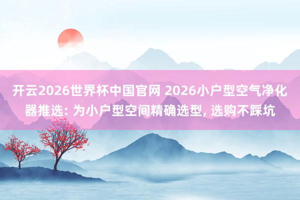 开云2026世界杯中国官网 2026小户型空气净化器推选: 为小户型空间精确选型, 选购不踩坑