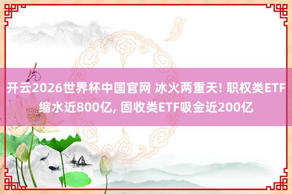 开云2026世界杯中国官网 冰火两重天! 职权类ETF缩水近800亿, 固收类ETF吸金近200亿