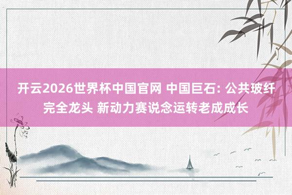 开云2026世界杯中国官网 中国巨石: 公共玻纤完全龙头 新动力赛说念运转老成成长