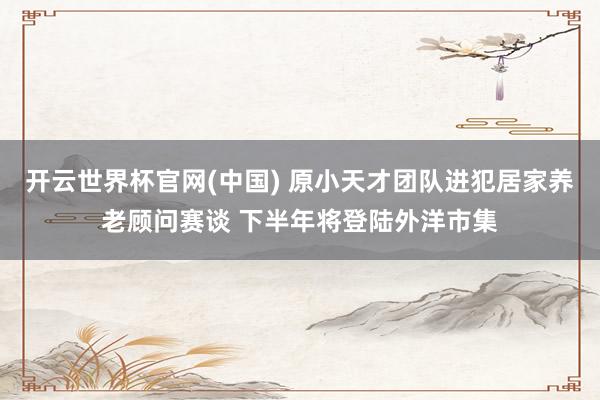 开云世界杯官网(中国) 原小天才团队进犯居家养老顾问赛谈 下半年将登陆外洋市集