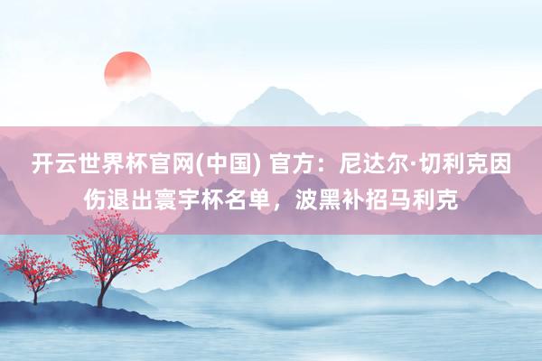 开云世界杯官网(中国) 官方：尼达尔·切利克因伤退出寰宇杯名单，波黑补招马利克