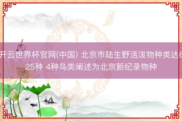 开云世界杯官网(中国) 北京市陆生野活泼物种类达625种 4种鸟类阐述为北京新纪录物种