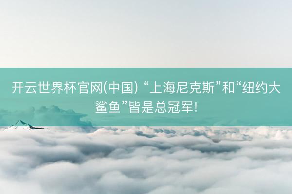 开云世界杯官网(中国) “上海尼克斯”和“纽约大鲨鱼”皆是总冠军!