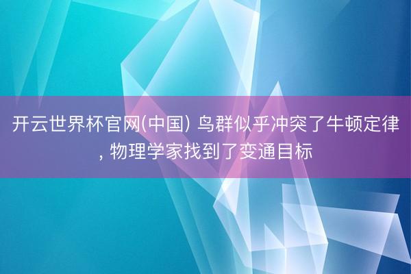 开云世界杯官网(中国) 鸟群似乎冲突了牛顿定律, 物理学家找到了变通目标