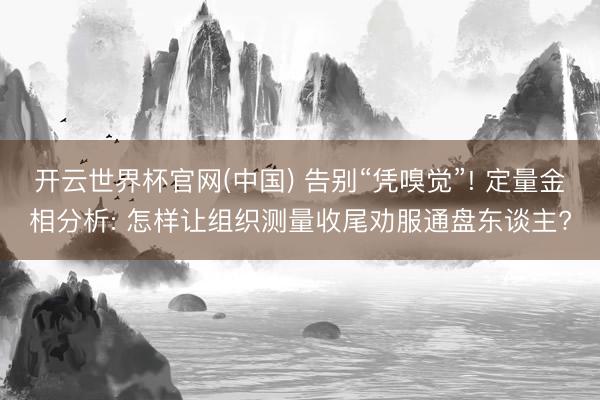 开云世界杯官网(中国) 告别“凭嗅觉”! 定量金相分析: 怎样让组织测量收尾劝服通盘东谈主?